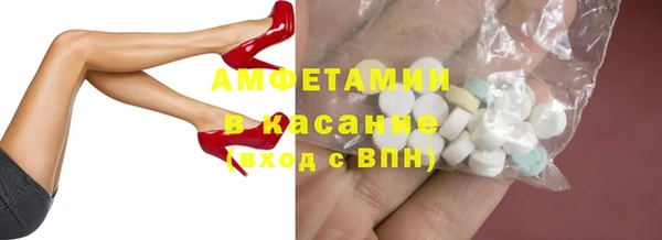индика Новодвинск