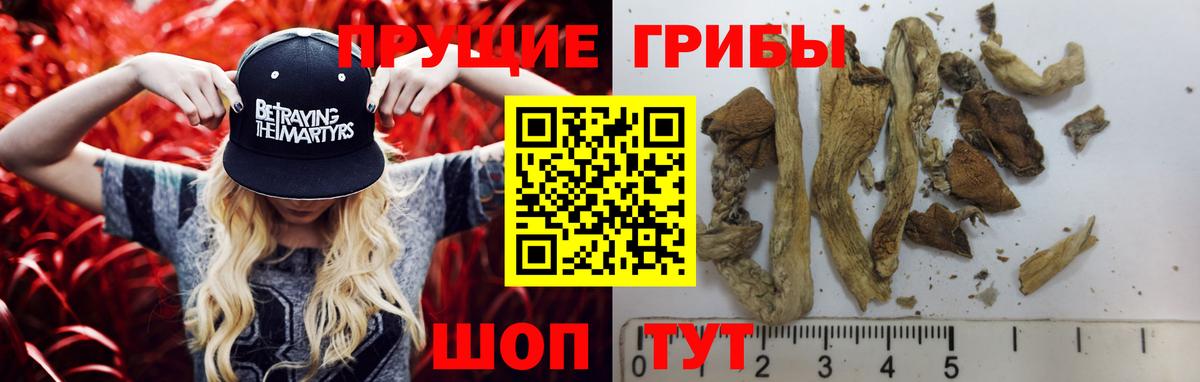 Красноуфимск  Галлюциногенные грибы Psilocybe  Вход с VPN  Псилоцибиновые грибы Magic Shrooms 